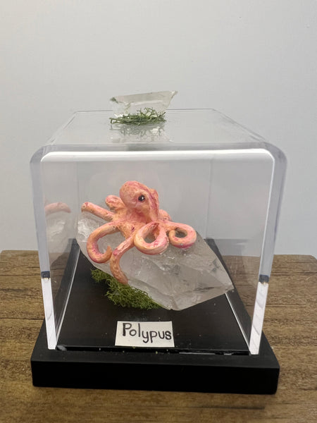 Polypus Specimen