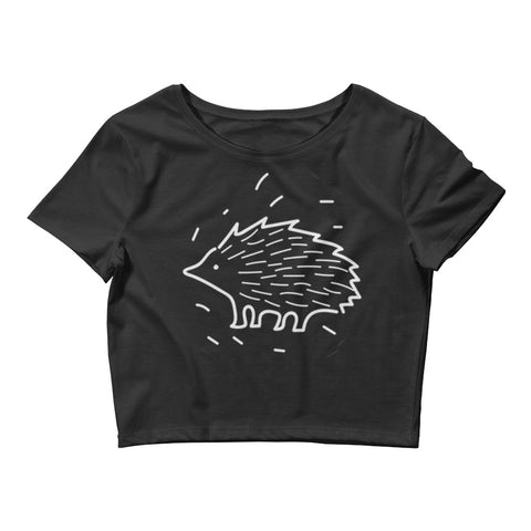 Porcupine Crop